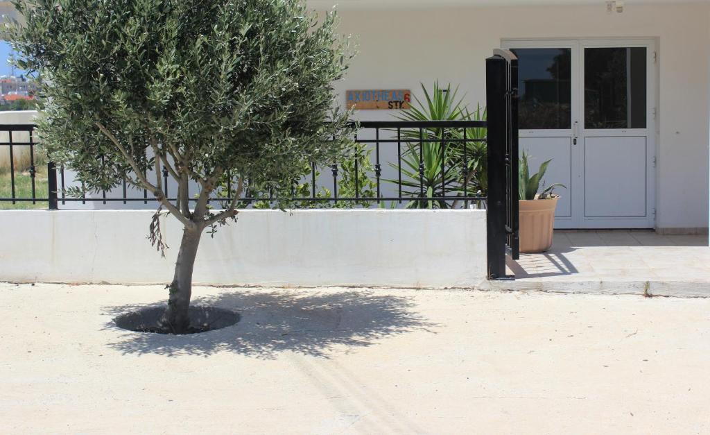 Galatia'S Court Apartment Paphos Exterior photo